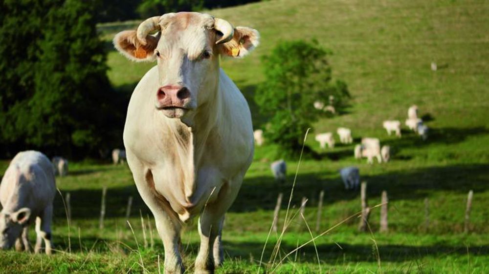 © Sia 2020 — P. Parchet